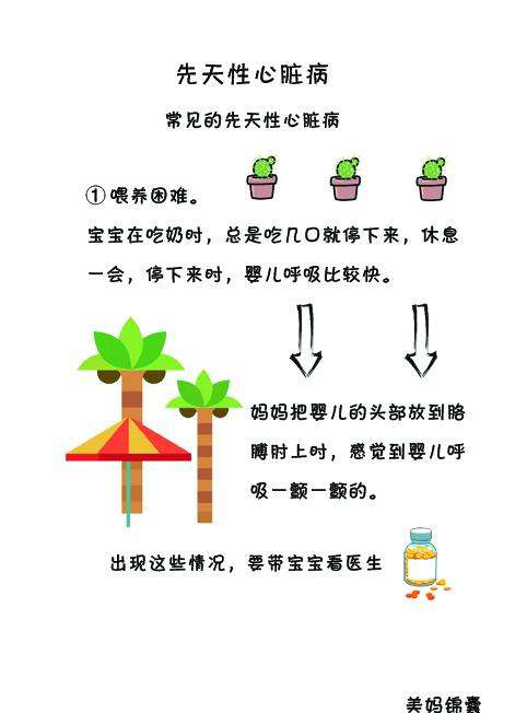 宝宝心脏发育与闭合时间解析