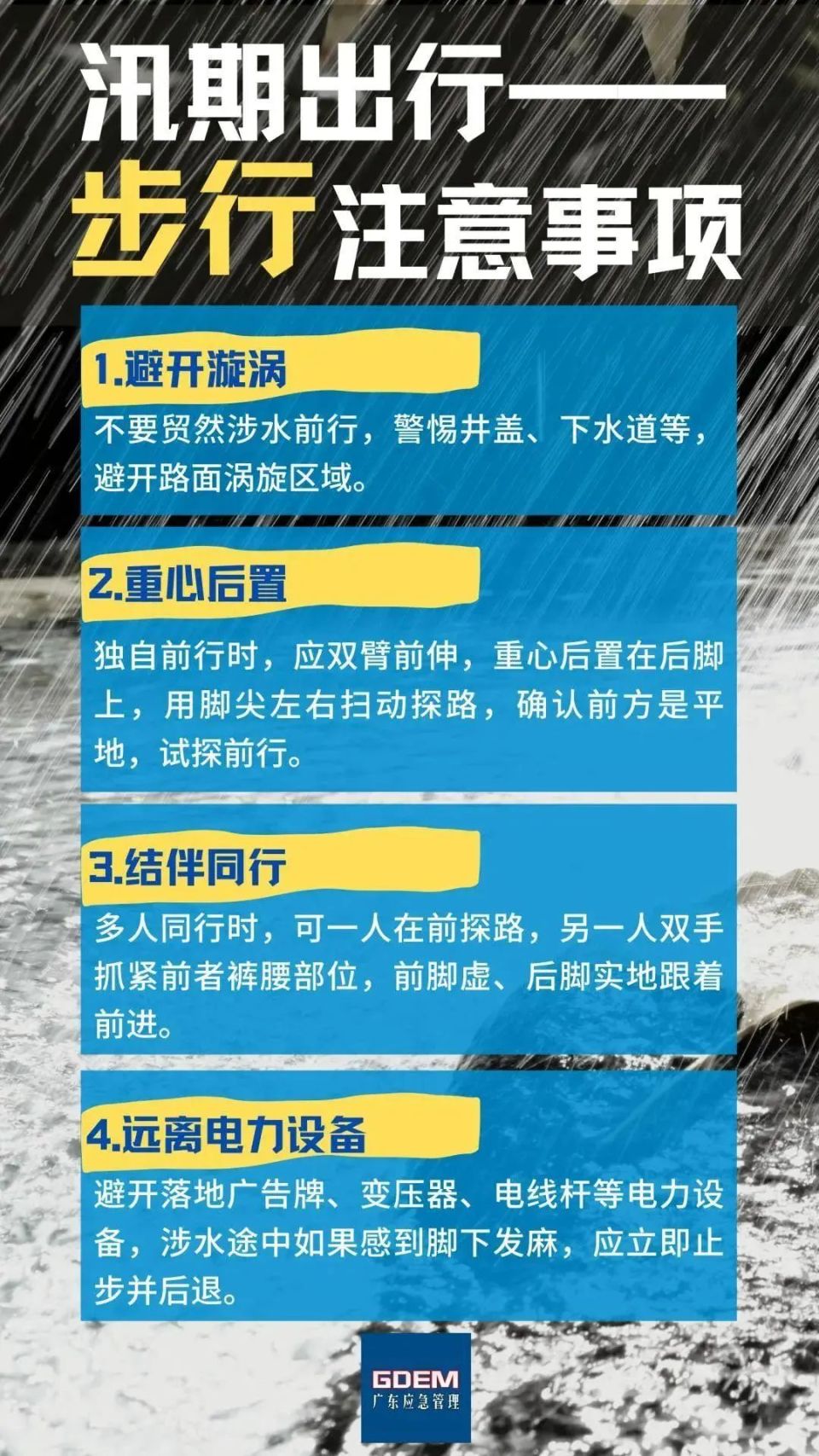 广东太子狐有限公司，探索与成长的历程