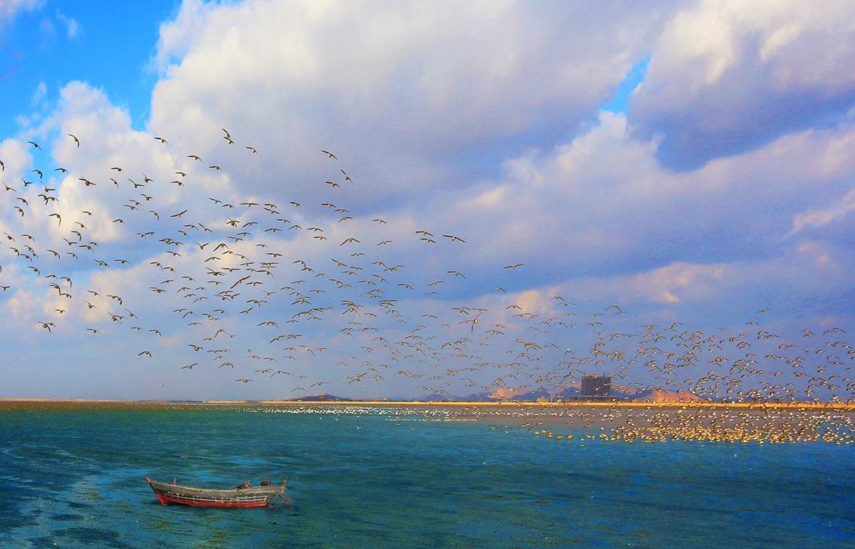 广东碧海贸易有限公司，探索海洋贸易的蓝海之路