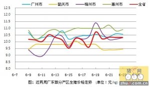 广东省生猪股票，市场现状、发展趋势与投资策略