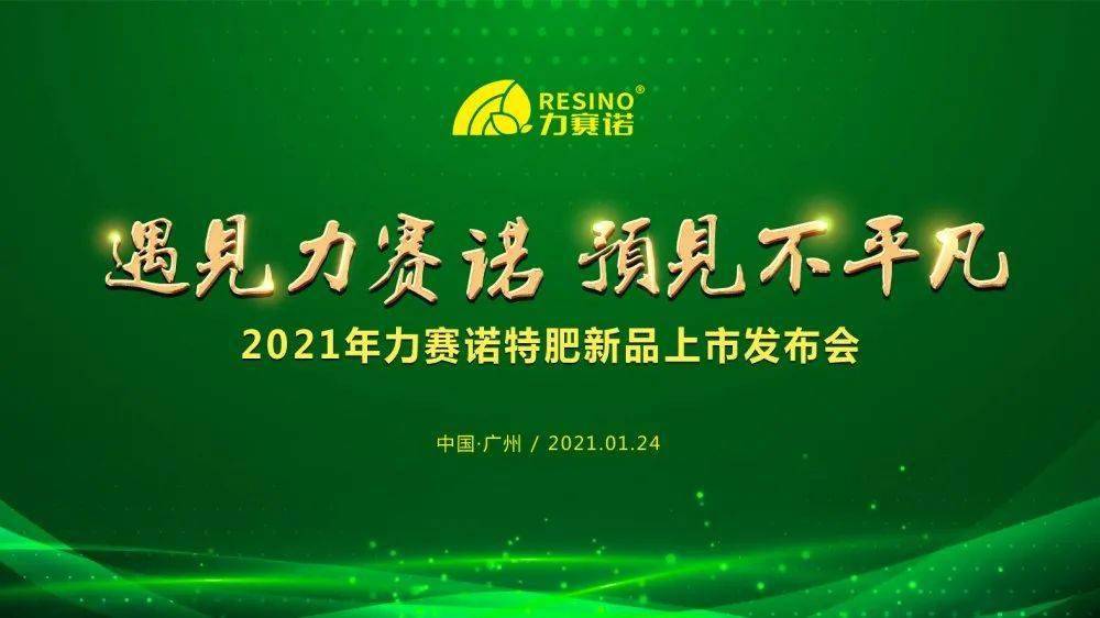 广东省园洲镇的黄赌毒现象，现状、影响与对策