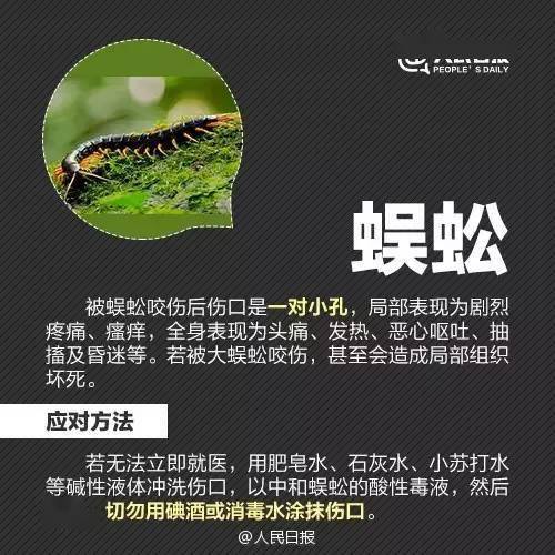 广东雨霖蜗牛有限公司，蜗牛产业中的璀璨明珠