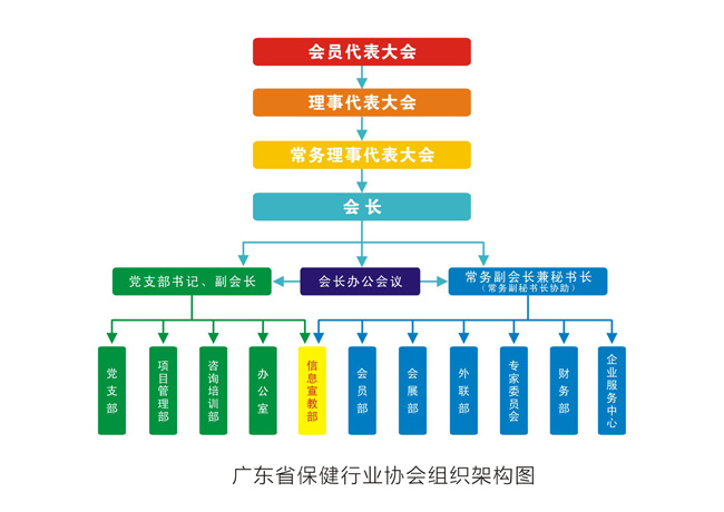 广东省社会组织信息网，构建透明、高效的非营利组织平台