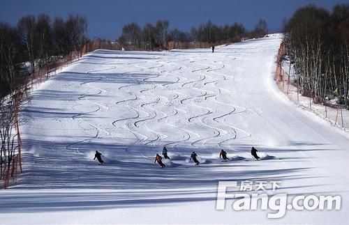 广东省冰雪运动馆，冰天雪地的南国奇迹